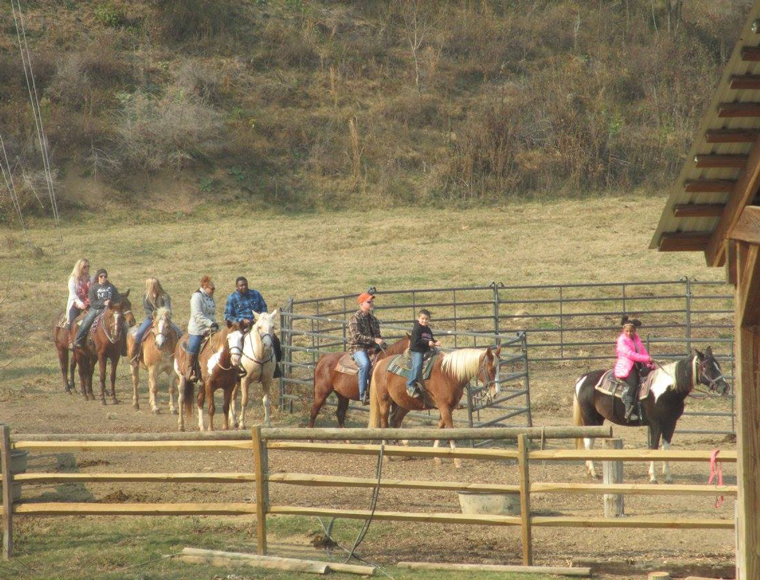 horseback riding group goldrush stables