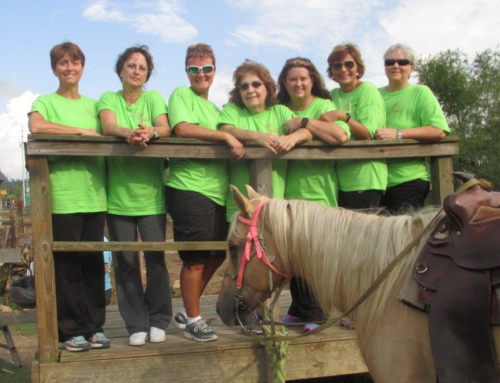 Group Horseback Rides